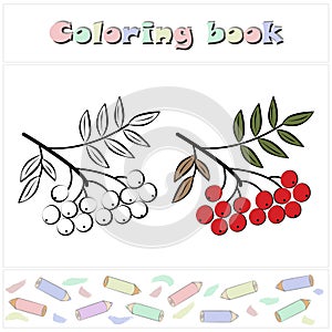 Rowan. A page of a coloring book with a colorful fruits and a sketch for coloring.