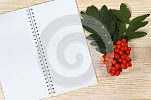 Rowan ripe and blank notepad on white wooden table