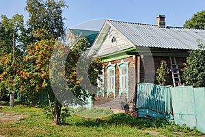 Rowan-tree at Old Wooden House - Cityscapes of Rostov Velikiy