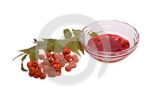 Rowanberry photo