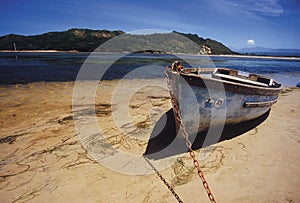 Rowboat photo