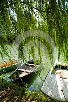 Rowboat at river shore