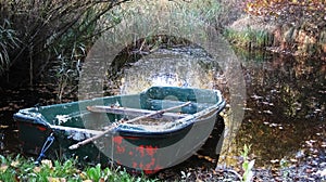 Rowboat in the swamp