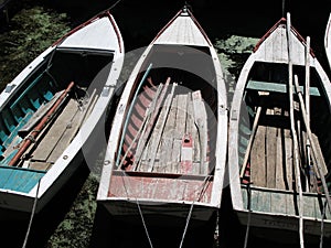 Rowboats photo