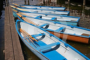 Rowboats photo