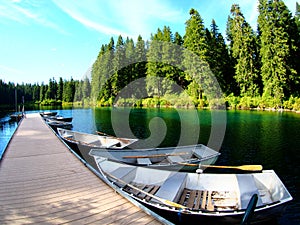 Rowboats along a dock with Pine trees and emerald water along the bank at Clear Lake in Oregon
