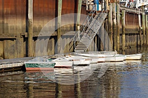 Rowboats at the Dock