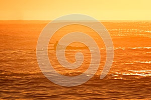 Rower in ocean at sunrise