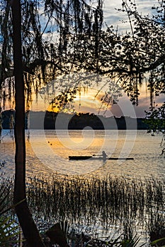 Rower paddling down pond in Payne`s Prairie in Florida