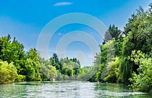 Rower on remote partof Ljubljanica river next to Ljubljana, Slovenia