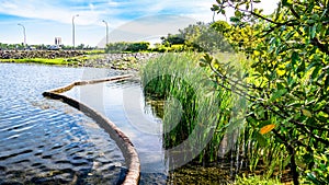 Rower’s Bay Park features a boardwalk that brings visitors closer to the water, a lookout pavilion, swales and a wetland.