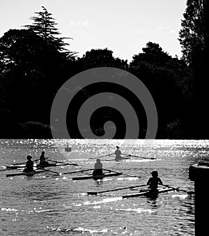 Rowers on the Exe on a summer morning