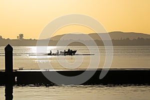 Rowers out training on Tauranga harbour