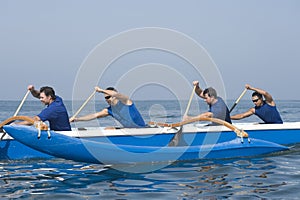 Rowers Paddling Outrigger Canoe In Race