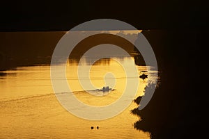 Rowers practicing on river in golden sunrise light