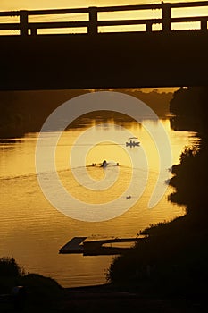 Rowers and safety boat in golden sunrise