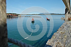 Rowing boat floats on calm lake