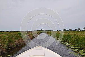 rowing boat between the meadows in the polder on a ditch in Woerdense Verlaat, Woerden, Utrecht
