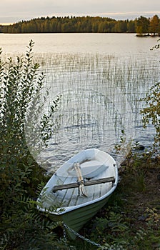 Rowing boat moored by lake