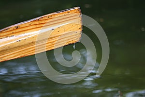 Rowing boat oar photo