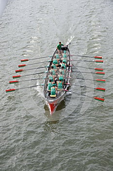 Rowing Boat races in Bilbao
