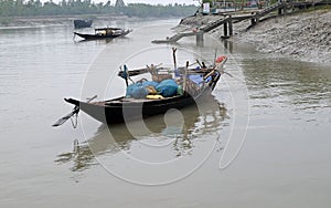 Rowing boat in the swampy areas of the Sundarbans, India