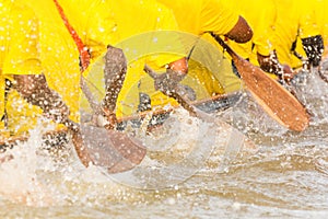 Rowing boat team