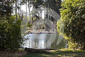 Rowing boats on the lake in the bois de Boulogne