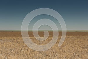 Rowing boats in the reeds. Wooden boat on the grassy shore of the Aral sea on a summer day