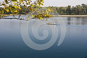 Rowing in the calm lake