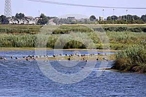 Rowing facility, nature and sport area in the Eendragtspolder