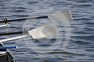 Rowing Oars photo