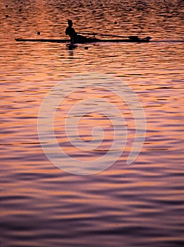 Rowing sunset