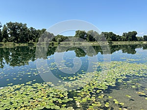 Rowing trail on Lake Jarun and Croatian Youth Island during the summer, Zagreb - Croatia / VeslaÄka staza na jezeru Jarun