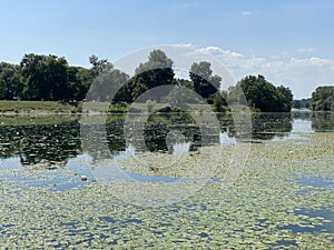 Rowing trail on Lake Jarun and Croatian Youth Island during the summer, Zagreb - Croatia / VeslaÄka staza na jezeru Jarun