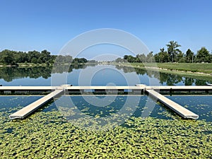 Rowing trail on Lake Jarun or rowing trails on Jarun`s Lake, Zagreb - Croatia / VeslaÄka staza na jezeru jarun