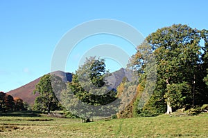 Rowling End, Causey Pike, Autumn colors, Cumbria