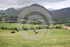 Rowling End, Lake District