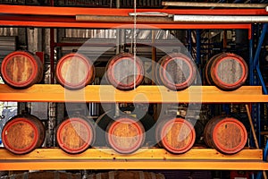 Rows Of Aging Barrels Of Rum