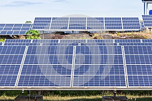 Rows array of polycrystalline silicon solar cells or photovoltaic cells in solar power plant