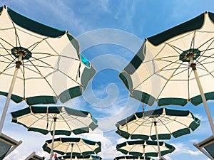 Rows of beach umbrellas in perspective
