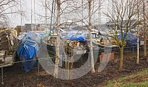 Rows of boats on dry land