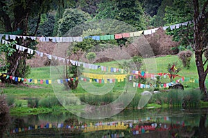 Linee da buddista preghiera bandiere Attraverso 