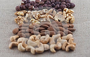 Rows of cashew nuts, almonds, walnuts and hazelnuts on a burlap fabric. Selective focus on walnuts.