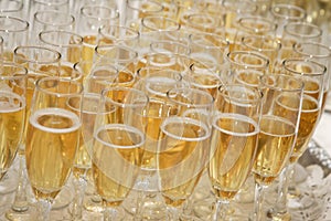 Rows of Champagne glasses photo