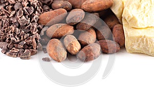 Rows of Chocolate Nibs Cocoa Beans and Cocoa Butter on a White Background