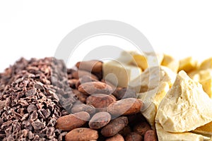 Rows of Chocolate Nibs Cocoa Beans and Cocoa Butter on a White Background