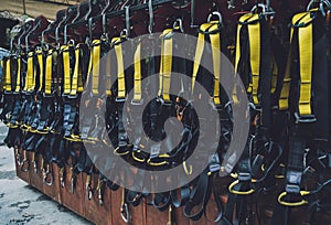 Rows of climbing safety ropes and carabiners and helmets