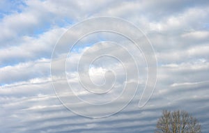 Rows of Clouds photo