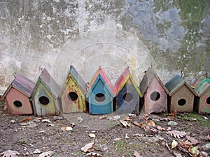 rows of colorful bird nests